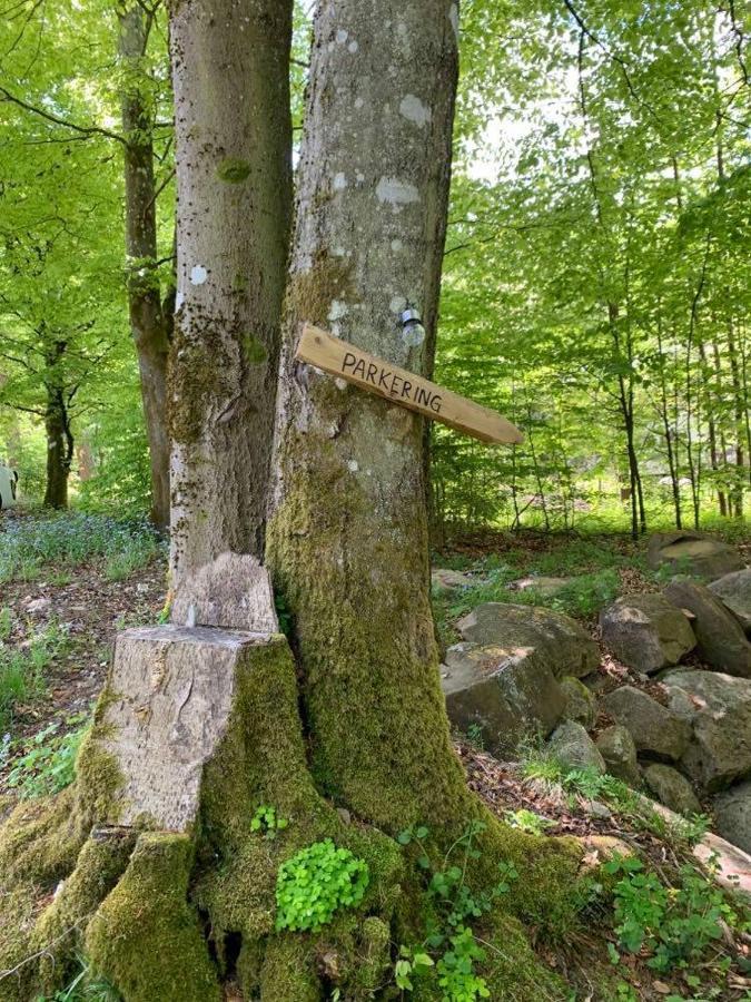 Skogshoejda Tjornarp Esterno foto